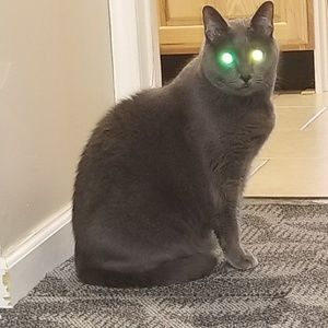 Meet your Posher, Kari